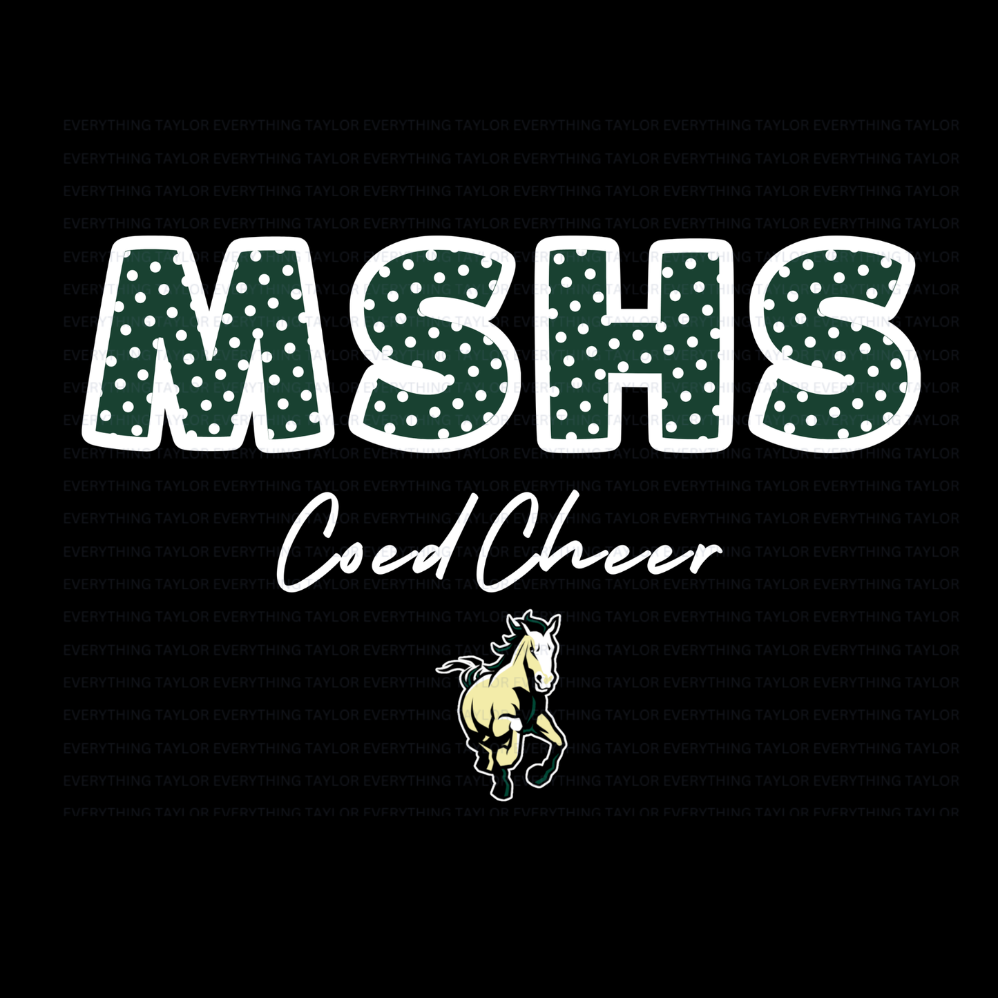 MSHS COED Cheer