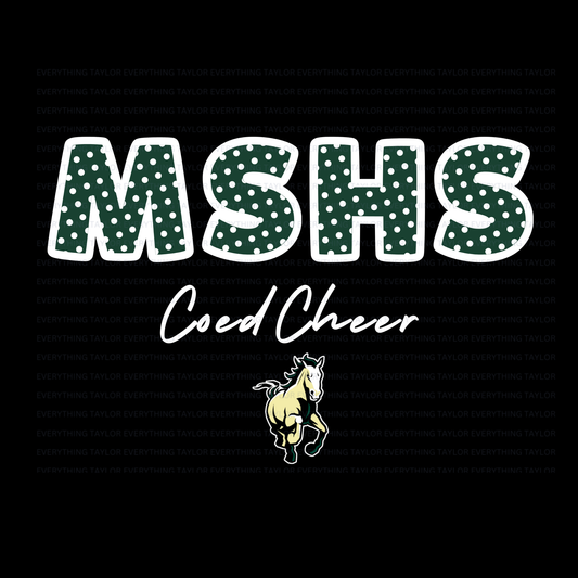 MSHS COED Cheer